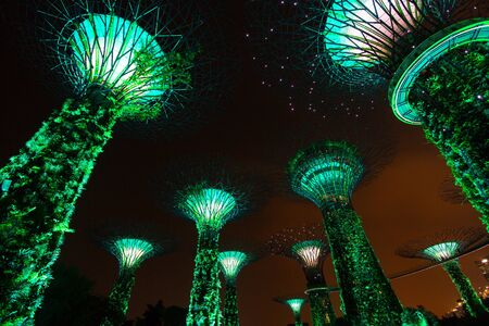 Supertree garden at night, garden by the bayのeditorial素材