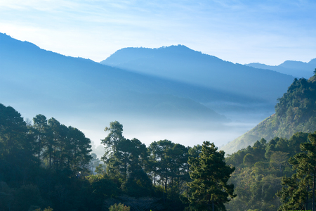 Landscape of mountain with fog in morning at Chiangmai Thailand.の写真素材