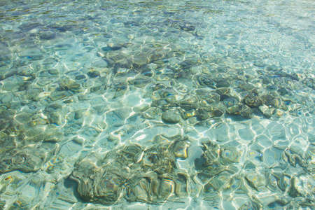 Crystal clear water of the tropical seaの写真素材