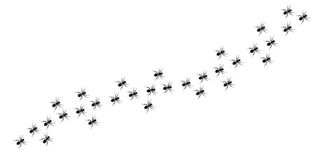 Black ants on a white background. Isolated. Vector illustration.のイラスト素材
