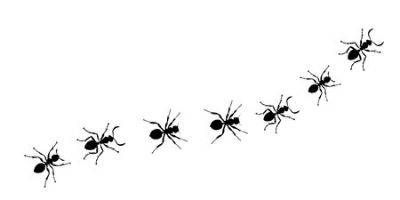 Ants. Isolated on a white background. Vector illustration.のイラスト素材