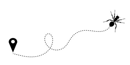 Black spider on a white background with a route. Vector illustration.のイラスト素材