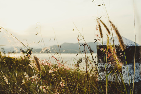 landscapeの写真素材