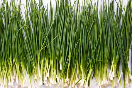fresh young green shallot prepare for cookingの写真素材
