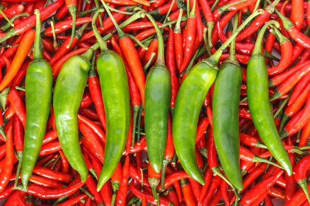 Green and red Chili spur peppe or Cayenne pepper