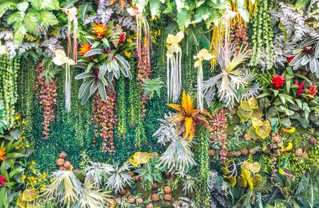 Artificial Vertical Garden and fake Plants on Walls.の写真素材