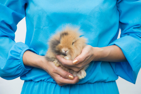 Young beautiful woman hugs mini rabbit with her arms in outdoor areaの写真素材