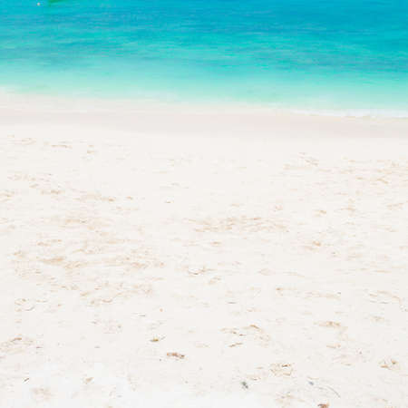 beach and tropical sea の写真素材