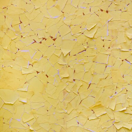 yellow  paper background