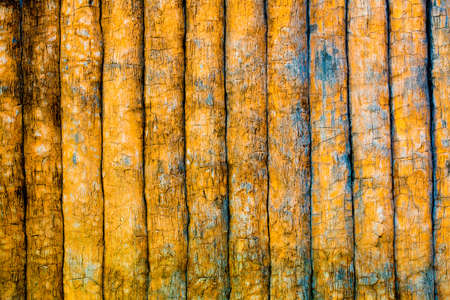 Old painted wallの写真素材