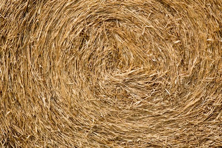 Dry straw macro shot. Background or Texture