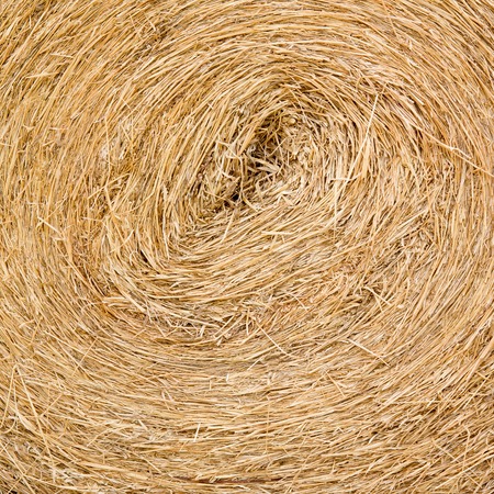 Dry straw macro shot. Background or Texture