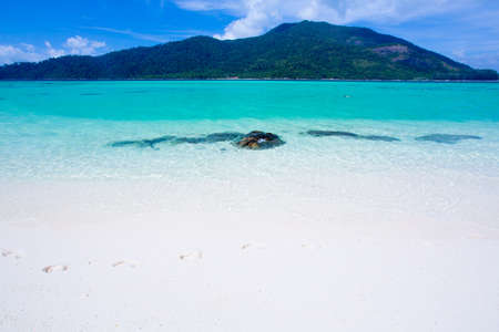 beach and tropical seaの写真素材
