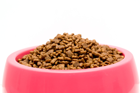 dry cat food in pink bowl isolated on whiteの写真素材