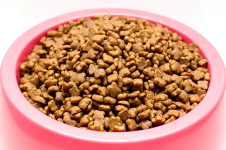 dry cat food in pink bowl isolated on whiteの写真素材