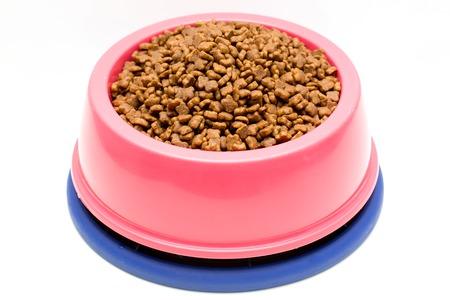 dry cat food in pink bowl isolated on whiteの写真素材