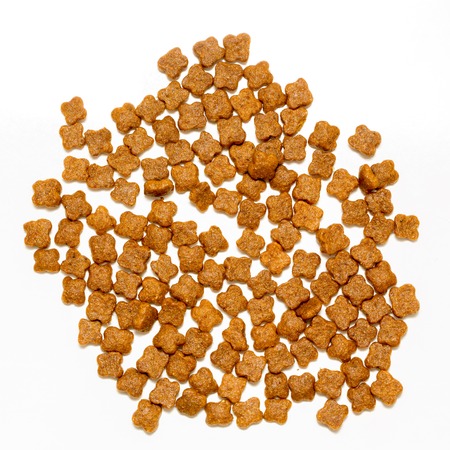 Cat foodの写真素材