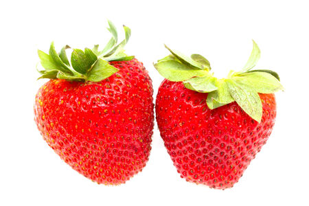 Strawberry on white backgroundの写真素材