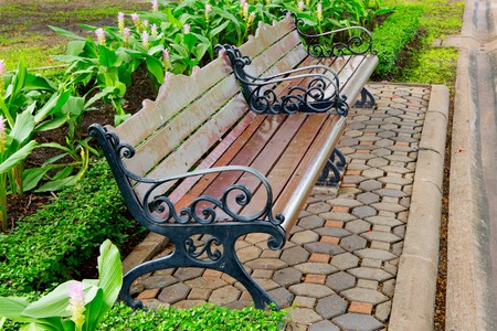 bench in the  parkの写真素材
