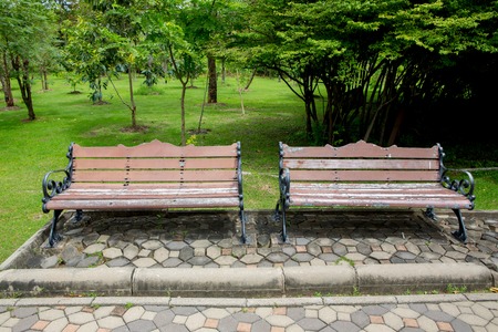 bench in the  parkの写真素材