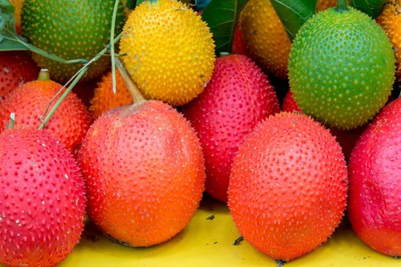 gac fruit healthy fruitの写真素材