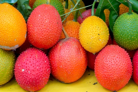 gac fruit healthy fruitの写真素材