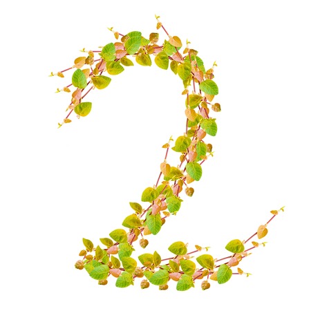 Number 2, alphabet of green leavesの写真素材