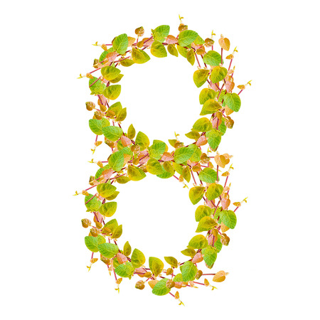 Number 8, alphabet of green leavesの写真素材