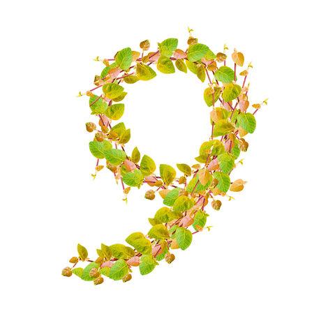 Number 9, alphabet of green leavesの写真素材