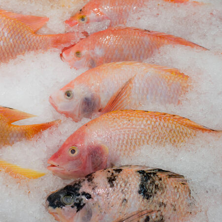 Fresh fish on ice on the market
