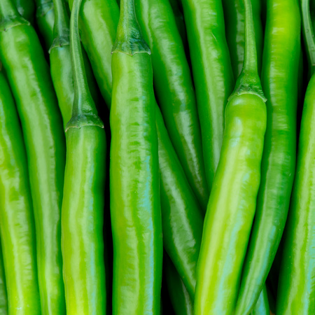 Chili Peppersの写真素材