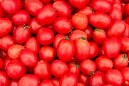 Fresh red tomatoesの写真素材