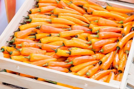 Yellow Peppers  in basketの写真素材
