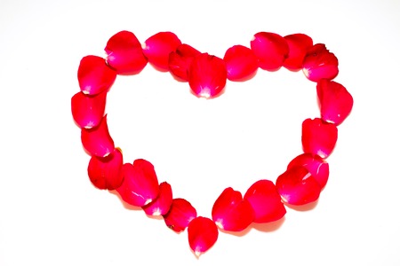 beautiful heart of red rose petals isolated on whiteの写真素材