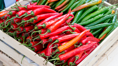 Chili Peppers in basketの写真素材