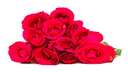 red rose isolated on white backgroundの写真素材