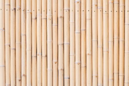 Bamboo wood texture