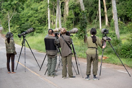 Bird Photographer in Kaeng Krachan National Park on 26 th May 2015のeditorial素材