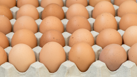 Eggs, Chicken Egg