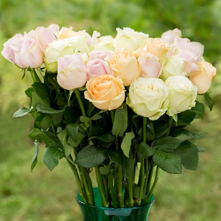 Bunch of fresh pastel rosesの写真素材
