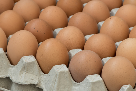 Eggs, Chicken Eggの写真素材