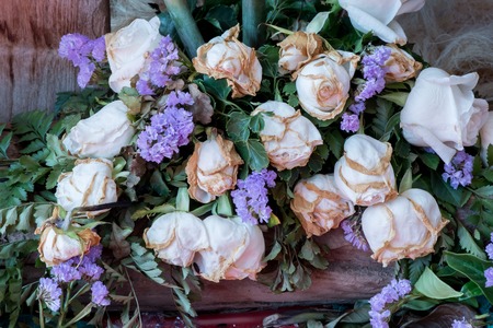 dried white roseの写真素材