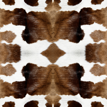 Cow skin textureの写真素材