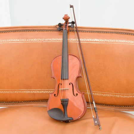 Violin on the leatherの写真素材