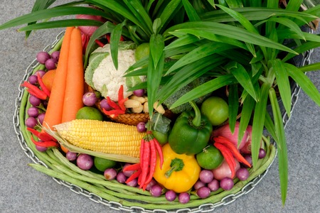 vegetable in the basketの写真素材