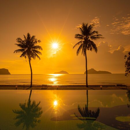 Silhouette Coconut Palm Tree with one bench at the beachの写真素材