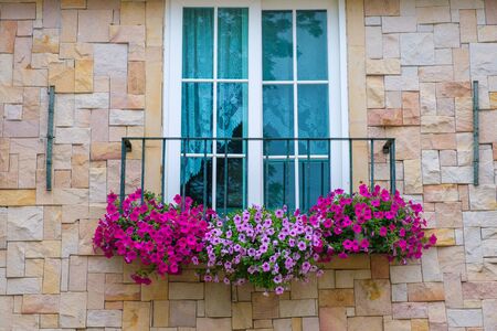 Antique window in the old townの写真素材