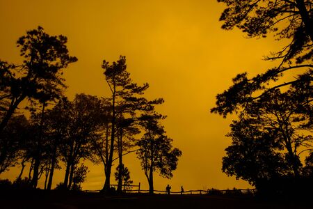 silhouette couple take a photoの写真素材