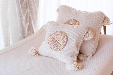 two pillows on brown sofaの写真素材
