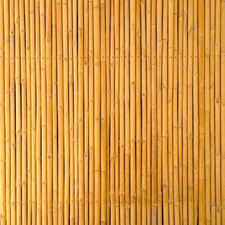 yellow bamboo texture background in the coffee shopの写真素材